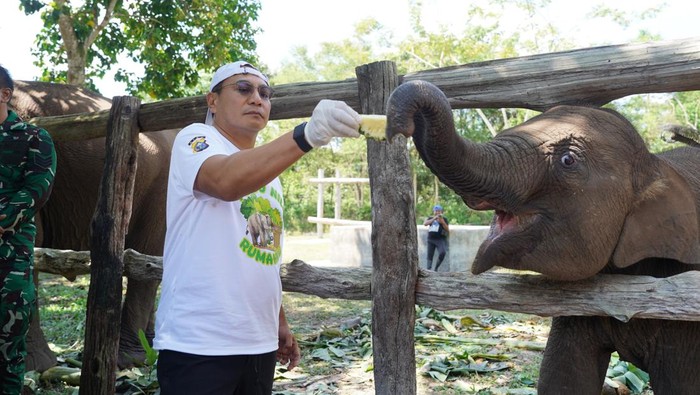 Momen kebersamaan Kapolda Riau Irjen Herry Heryawan dan gajah Tari di Tesso Nilo.