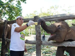 Kapolda Riau: Tari Bukan Sekadar Gajah, tapi Suara Hutan Tesso Nilo