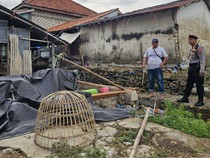 Polisi Gerebek Judi Sabung Ayam di Pamekasan