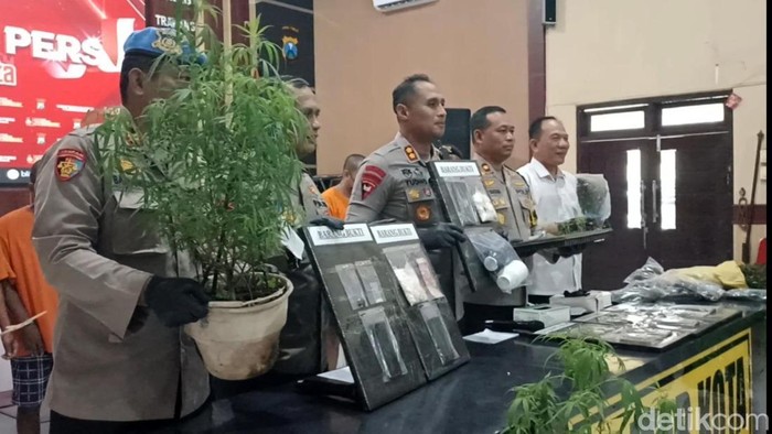 Polres Blitar Kota rilis kasus ladang ganja
