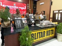 Polisi Bongkar Ladang Ganja di Blitar