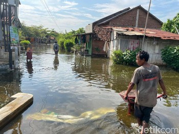 Menolak Tenggelam di Pantura Jawa