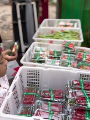 Pengantin menyediakan aneka sayuran segar untuk dibawa pulang oleh tamu undangan sebagai souvenir, bikin emak-emak kalap. Suasana pernikahan di Pekalongan, Jawa Tengah itu langsung viral di media sosial.