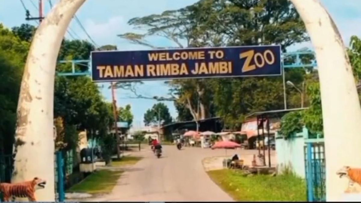 Taman Rimba Zoo Jambi Destinasi Wisata Edukasi Keluarga yang Wajib Dikunjungi Akhir Pekan Ini