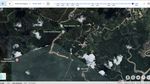 Wujud IKN di Google Earth: dari Hutan Lebat-Penampakan Istana Diblur Sebagian