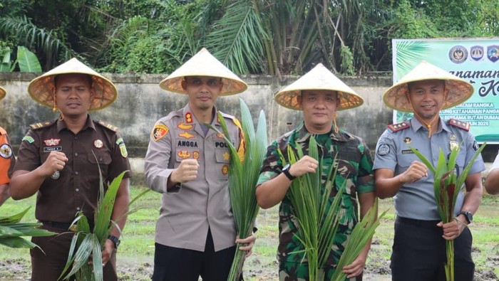 TNI-Polri dan Imigrasi Dumai menanam bibit pohon kelapa untuk mendukung ketahanan pangan dan ekonomi lokal, Selasa (9/8/2025).
