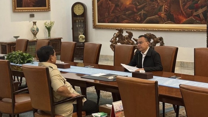 Wakil Ketua DPR RI Sufmi Dacso menemui Presiden Prabowo di Istana Jakarta