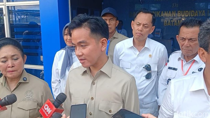 Wakil Presiden RI Gibran Rakabuming Raka saat memberi keterangan. (Alamudin Hamapu/detikSumut)