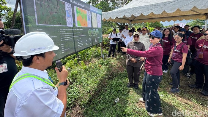 Wamendiktisaintek Stella Christie tinjau calon lokasi pembangunan SMA Unggul Garuda di Mempawah