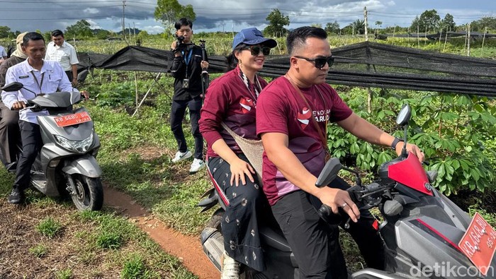 Wamendiktisaintek Stella Christie tinjau calon lokasi pembangunan SMA Unggul Garuda di Mempawah