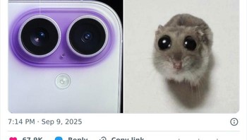 Uwu! Foto: twaniimals via Bored Panda