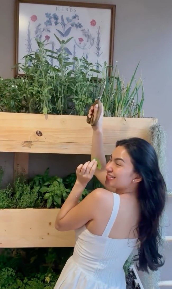 Bumbu yang dipakainya untuk memasak bahkan diambil dari kebun pribadinya. Sabtu malam lalu aku diundang adikku Ariel untuk mencoba masakannya. Di awal kukira Ariel akan pesan semua menu2 itu ternyataaaaaaa DIA MASAK SEMUA SENDIRI!! Menu Beef steak medium dimasak dengan garlic dan sage dari kebun herbsnya sendir, tulis Didiet. Foto: Instagram/@didietmaulana