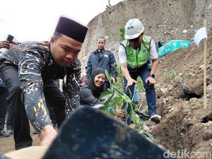 Calon Pengantin di Jabar Bakal Diwajibkan Tanam Pohon Sebelum Menikah