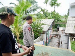 Kapolda Riau Kunjungi Shelter Anjing, Ajak Rawat dan Sayangi Hewan