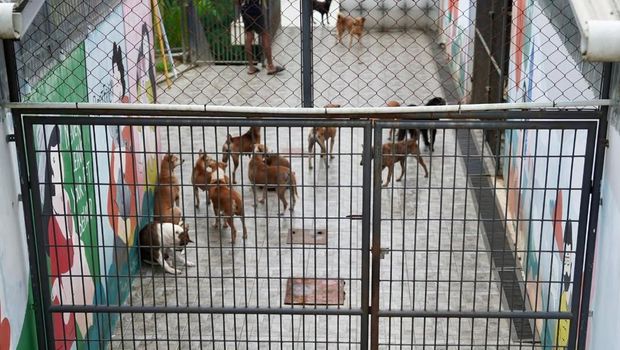 Kapolda Riau Irjen Herry Heryawan mengunjungi Swargaloka Camari Shelter di Kota Pekanbaru, Kamis (10/9/2025).