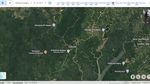 Wujud IKN di Google Earth: dari Hutan Lebat-Penampakan Istana Diblur Sebagian