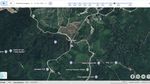 Wujud IKN di Google Earth: dari Hutan Lebat-Penampakan Istana Diblur Sebagian