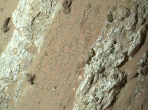 Video Analisis NASA soal Temuan Batuan Bercorak Macan Tutul di Mars