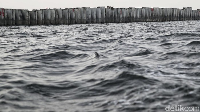 Keberadaan tanggul beton di pesisir utara Jakarta, tepatnya di kawasan Cilincing, Jakarta Utara, tengah ramai diperbincangkan di media sosial. Video dan foto yang beredar menunjukkan tanggul laut membentang sekitar 2 hingga 3 kilometer di kawasan tersebut, dan menimbulkan pro dan kontra di masyarakat.