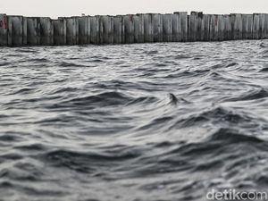 Komisi IV DPR Akan Panggil KKP Minta Penjelasan soal Tanggul Beton di Jakut
