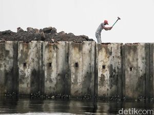 KKP Ungkap Pembuat Video Viral soal Tanggul Beton Cilincing
