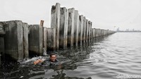 Sebuah tanggul beton di pesisir Cilincing, Jakarta Utara, mendadak jadi sorotan publik.