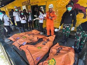 KNKT Investigasi Helikopter PK-IWS Jatuh Tewaskan 4 Penumpang di Mimika