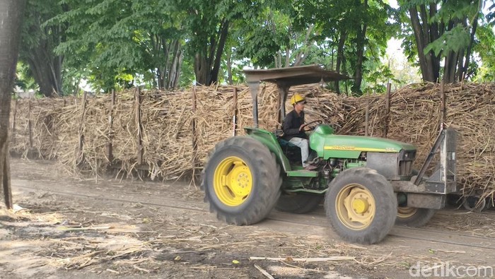 Pabrik Gula Candi Sidoarjo Pabrik Gula Candi Sidoarjo