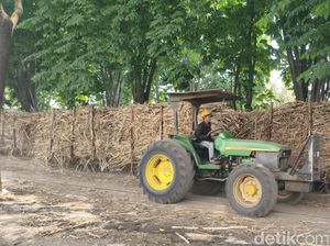PG Candi Baru Jual Gula Murah Tanpa Untung, Pastikan Stok Nataru Aman