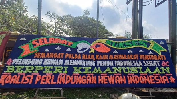 Polda Riau dibanjiri karangan bunga dari pecinta anjing dan hewan, Kamis (10/9/2025). Ini adalah bentuk apresiasi komunitas pecinta hewan atas penangkapan pelaku perdagangan daging anjing di Pekanbaru.