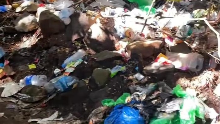Sampah menggunung di Gunung Gede Pangrango