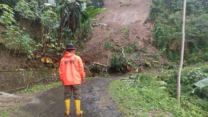 Tanah longsor terjadi di beberapa titik di Kecamatan Pandanarum, Banjarnegara.