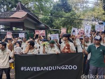 Serikat Pekerja Desak Bandung Zoo Segera Dibuka!