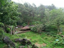 Desa Wisata yang Wajib Dikunjungi Saat Liburan ke Pasuruan