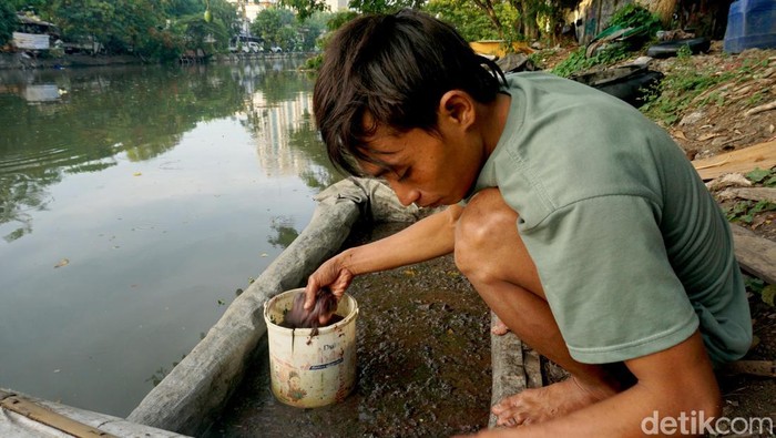 Geliat Sore di Sungai Kalimas Surabaya