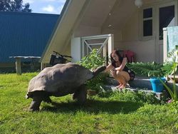 Hewan-hewan ini Punya Tubuh Luar Biasa Besar, Bikin Kaget!