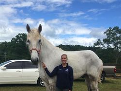 Hewan-hewan ini Punya Tubuh Luar Biasa Besar, Bikin Kaget!