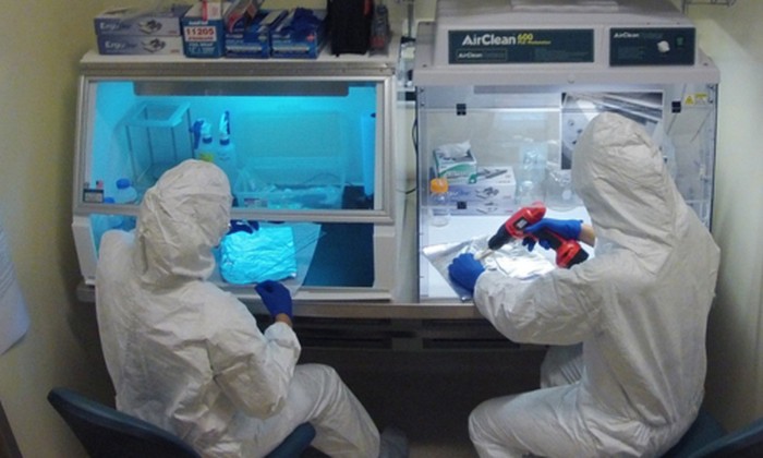 Laboratorium DNA Kuno di Universitas Florida Atlantic ungkap bakteri penyebab pandemi 1.500 tahun lalu