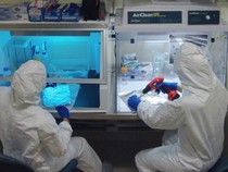 Pandemi Pertama Ternyata Sudah Ada dari 1.500 Tahun Lalu, Penyebabnya Bakteri Ini