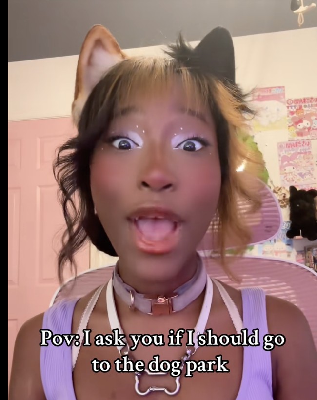 Wanita muda asal Pennsylvania, Amerika Serikat, menjadi sorotan publik setelah mengungkap gaya hidup uniknya yang memilih hidup layaknya seekor anjing. Wanita yang dikenal dengan nama panggilan Milk ini bahkan mengenakan kalung anjing dan mengaku merasa dirinya seperti seekor Pomeranian (jenis anjing). Foto: dok. TikTok @milkluv_3