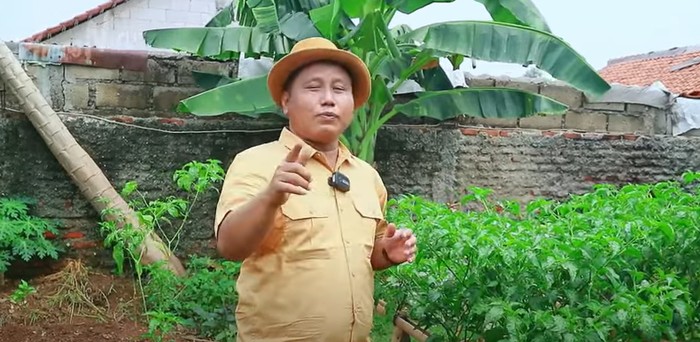 Narji Kini Jadi Petani, Bagikan Tips Mudah Menanam Pohon Cabai