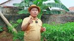 Narji Kini Jadi Petani, Bagikan Tips Mudah Menanam Pohon Cabai