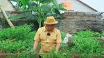 Narji Kini Jadi Petani, Bagikan Tips Mudah Menanam Pohon Cabai