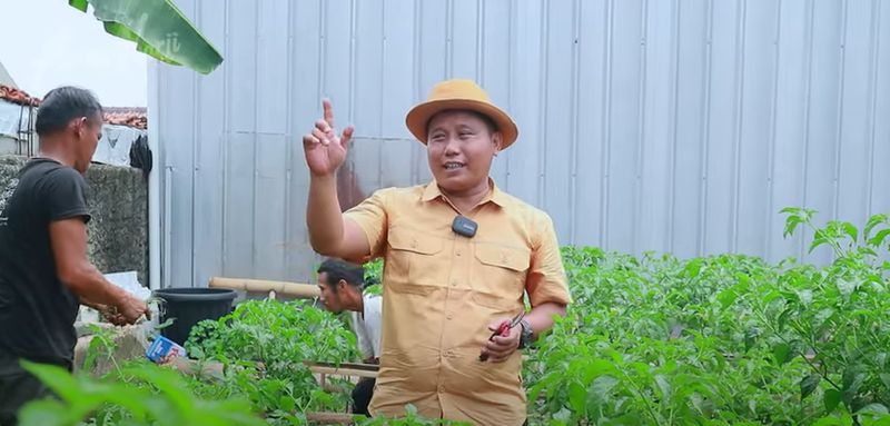 Narji Kini Jadi Petani, Bagikan Tips Mudah Menanam Pohon Cabai