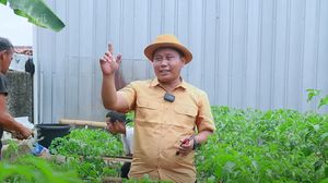Narji Kini Jadi Petani, Bagikan Tips Mudah Menanam Pohon Cabai