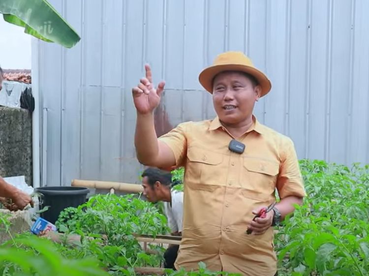 Narji Kini Jadi Petani, Bagikan Tips Mudah Menanam Pohon Cabai
