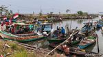 Nelayan Cilincing Gantungkan Hidup dari Kerang Hijau