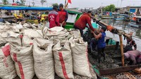 Kerang hijau dijual ke pasar atau pedagang pengumpul, hasilnya dipakai untuk biaya sekolah, kebutuhan rumah tangga, hingga memperbaiki perahu.  