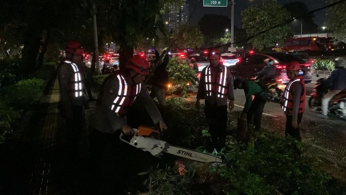 Pohon tumbang di Jalan Gatot Subroto menyebabkan arus lalu lintas tersendat. (dok.istimewa)