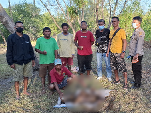 Mayat Perempuan yang Ditemukan Membusuk di Hutan Bakau Malaka Dimakamkan